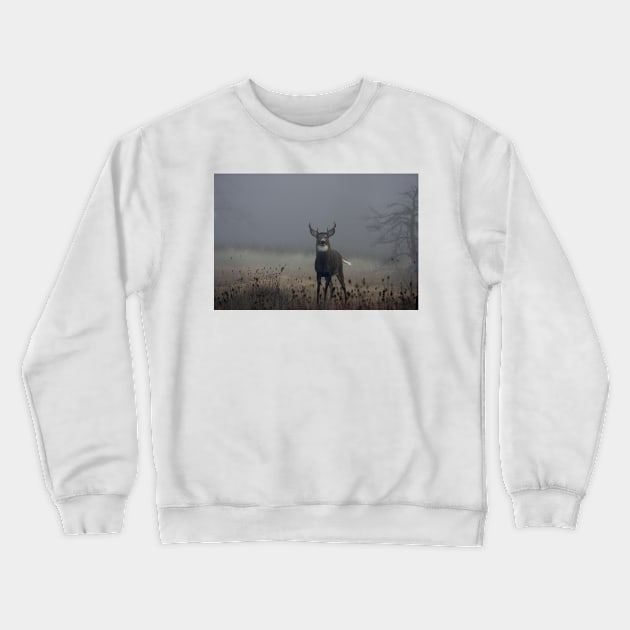 Big Buck - White-tailed Deer Crewneck Sweatshirt by Jim Cumming